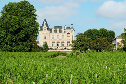 Grand Barrail de Bernon 1999: Een tijdloze klassieker uit Bordeaux