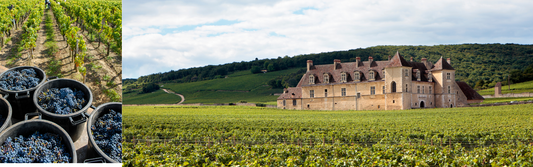 Château Moulin Pey-Labrie