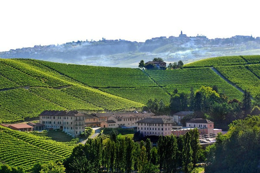 Fortanafredda Barolo: De ultieme beleving van Italiaanse wijntraditie!