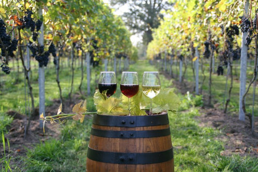 Château Tour Chantecaille: Een parel van Saint-Émilion